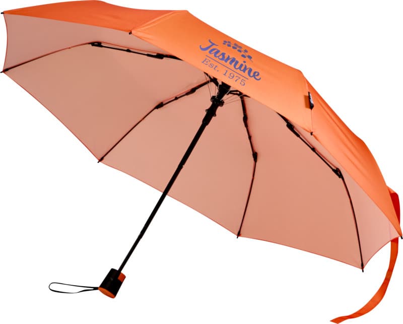 Agnes 21" foldable auto open RPET umbrella - LogoY1